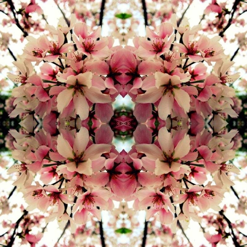 FEBRUARY GALLERY SHOWCASE/CLAUDIA CORLETTO