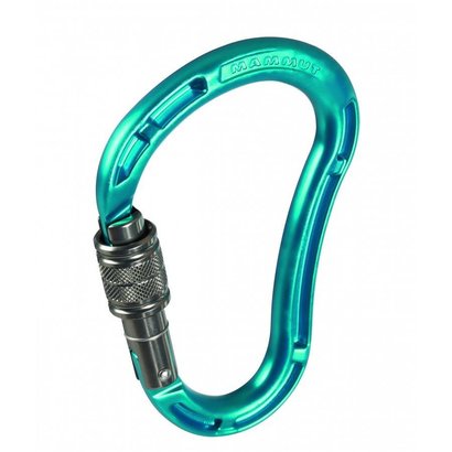 Mammut Bionic Mythos Screwgate Carabiner