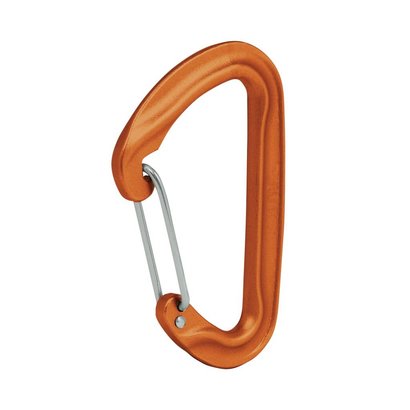 Mammut Wall Wire Gate Carabiner