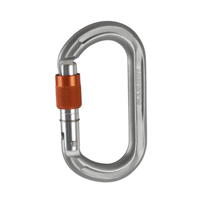 Mammut Wall Micro Oval Screwgate Carabiner