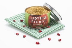 Products tagged with beautiful briny sea