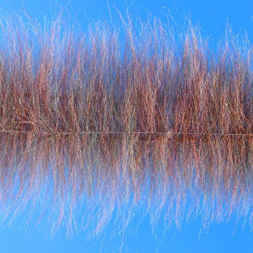 PUGLISI Streamer Brush 2.5'' Wide PUGLISI Streamer Brush 2.5'' Wide