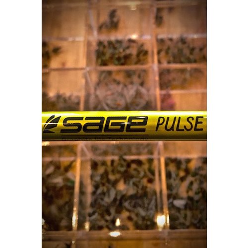 Sage Pulse Fly Rod Sage Pulse Fly Rod