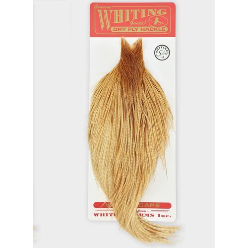 WHITING Half Neck-Silver Grade WHITING Half Neck-Silver Grade