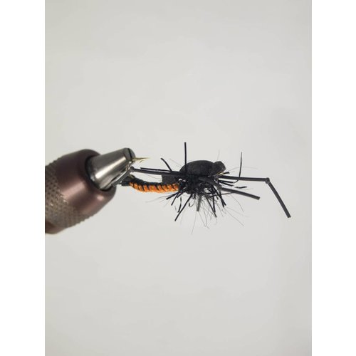 Stonefly Cory Stonefly Cory