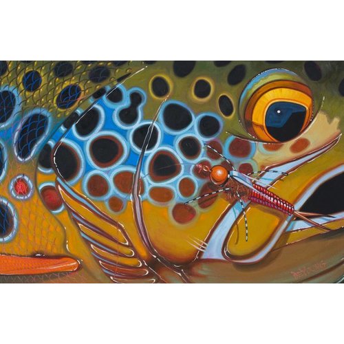 Deyoung Brown Trout Rubberlegs Canvas Print 36x24" Deyoung Brown Trout Rubberlegs Canvas Print 36x24"