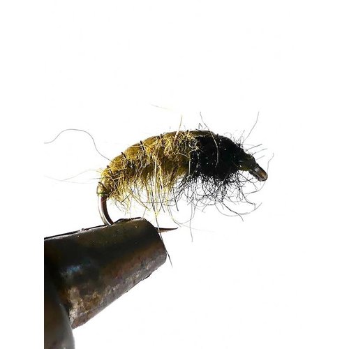 Czech Nymphs Czech Nymphs