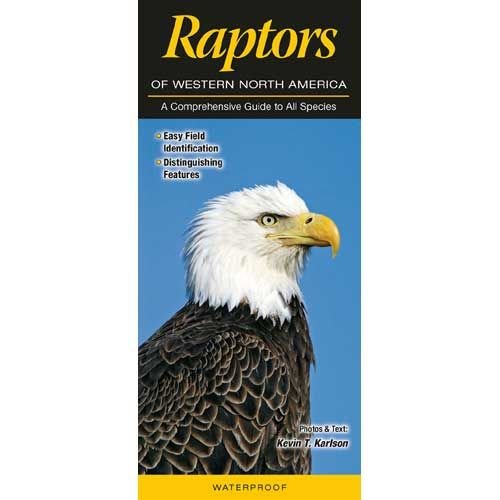 Farcountry Quick Reference Guides-Raptors Farcountry Quick Reference Guides-Raptors