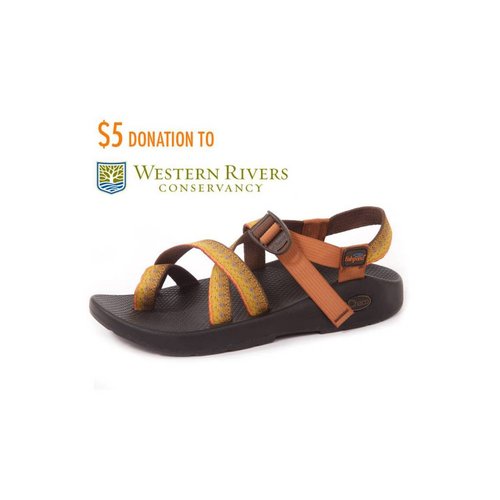 Fishpond Chaco Z2 Sandal Fishpond Chaco Z2 Sandal