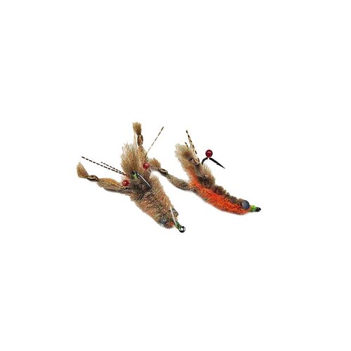 PUGLISI Crayfish #4 - Root Beer PUGLISI Crayfish #4 - Root Beer