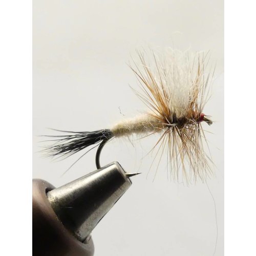 Ausable Wulff #10 Ausable Wulff #10