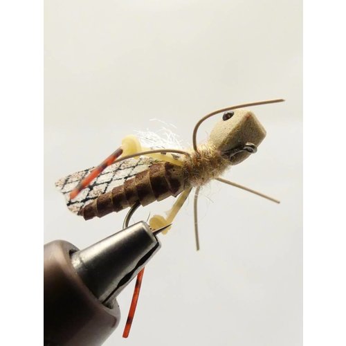 Carnage Hopper Carnage Hopper