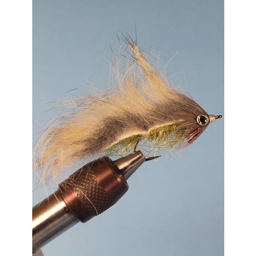 Weird Sculpin Weird Sculpin