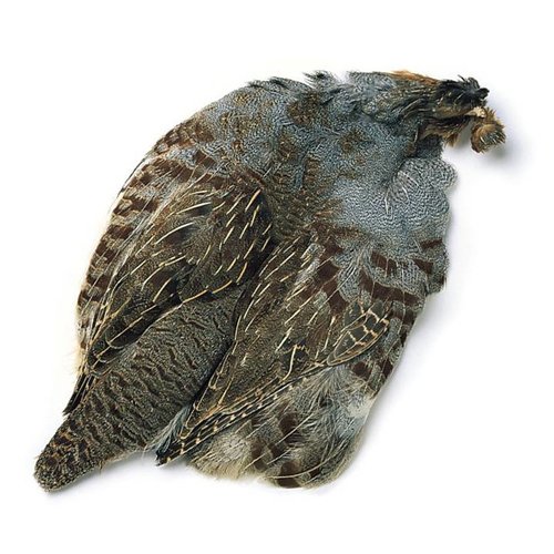 Hungarian Partridge Skins Hungarian Partridge Skins