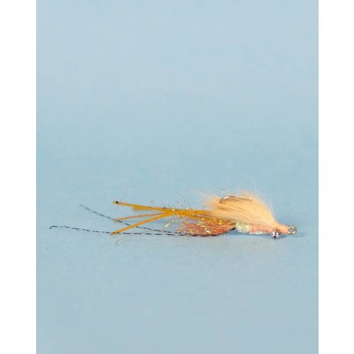 Skinny Shrimp Skinny Shrimp