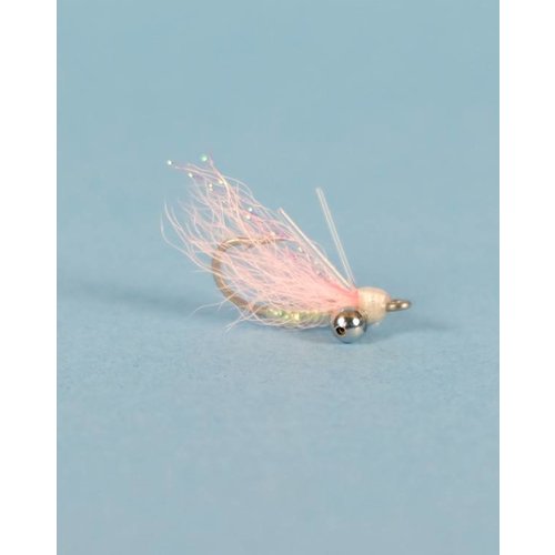 Crazy Charlie Shallow Pink 10 Crazy Charlie Shallow Pink 10
