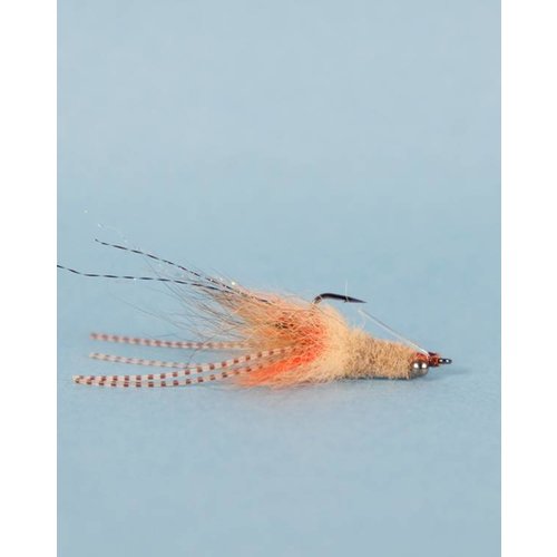 Coyote Spawn Shrimp Tan/Orange 6 Coyote Spawn Shrimp Tan/Orange 6