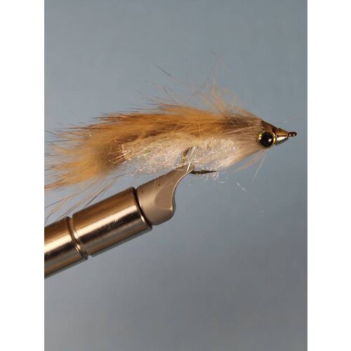 Conehead Shiner Steamer Conehead Shiner Steamer