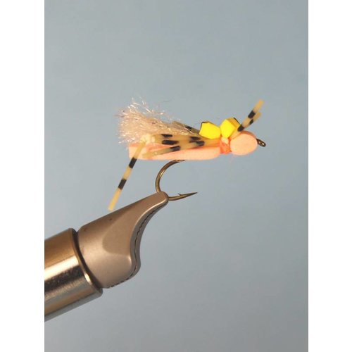 Foam Hopper Foam Hopper