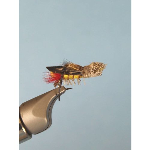 Dave's Hopper 14 Dave's Hopper 14