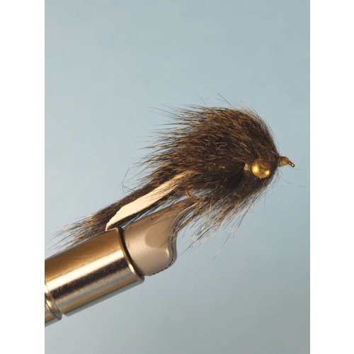 Mini Sculpin Mini Sculpin
