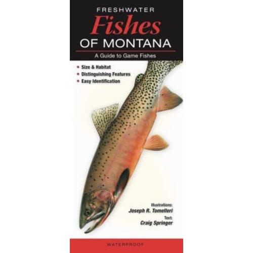 Fishes Quick Reference Guides Fishes Quick Reference Guides