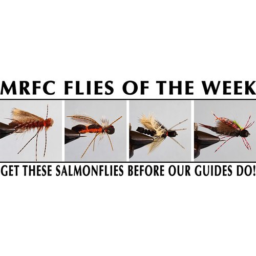 MRFC Flies of the Week - 6/02/2018 MRFC Flies of the Week - 6/02/2018