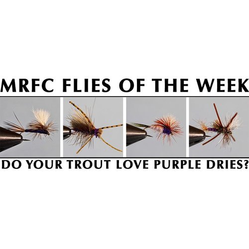 MRFC Flies of the Week - 6/09/2018 MRFC Flies of the Week - 6/09/2018