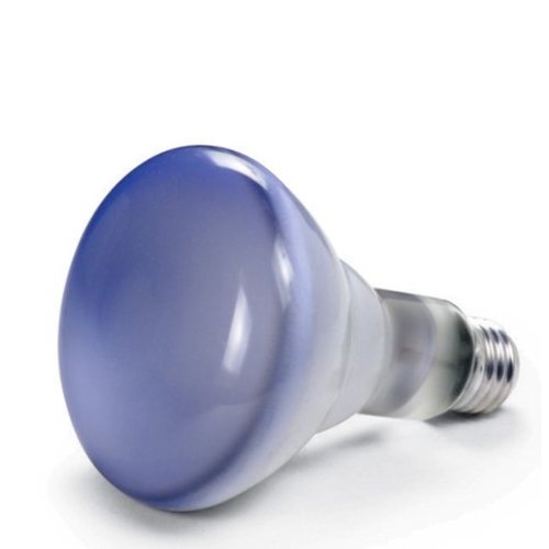 Daylight Replacement Bulb Daylight Replacement Bulb