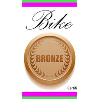 Bronze Bike Tune Up Single Speed Gift Certificate