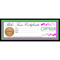 Bronze Bike Tune Up Single Speed Gift Certificate