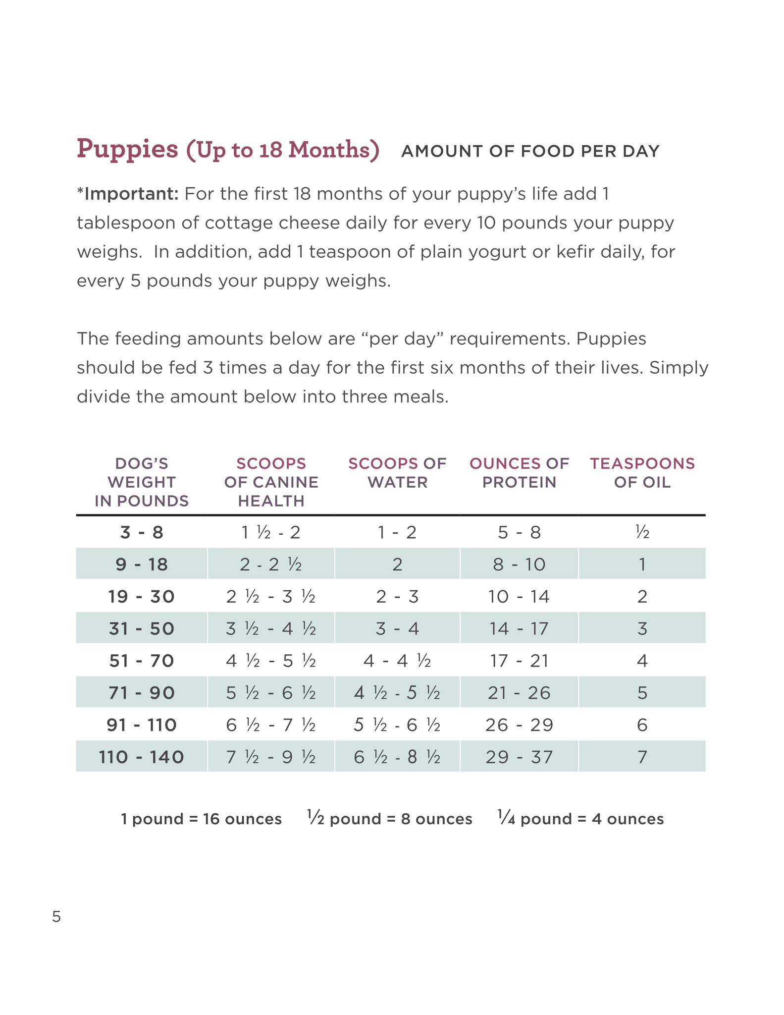 dr harvey's canine health feeding guide