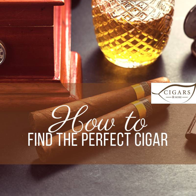 How to find the perfect cigar