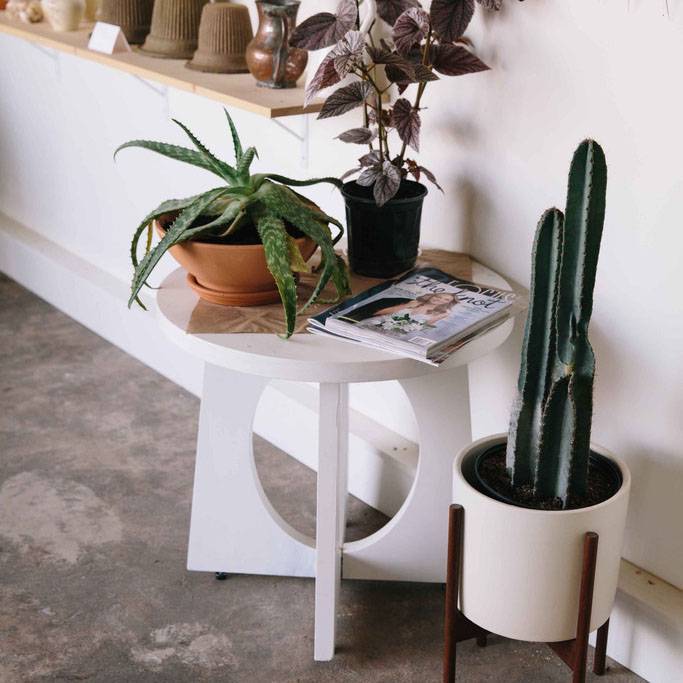 Studio Visit: Farmer's Florist