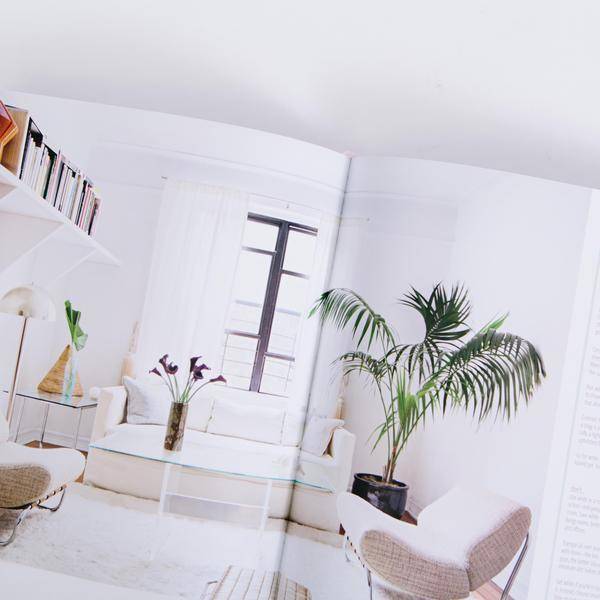 Domino: Your Guide to a Stylish Home