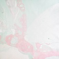 Calico Calico Wallpaper, Microcosmos