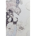 Calico Calico Wallpaper, Microcosmos