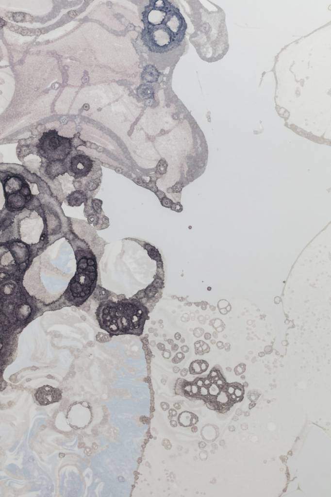 Calico Calico Wallpaper, Microcosmos