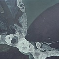 Calico Calico Wallpaper, Microcosmos