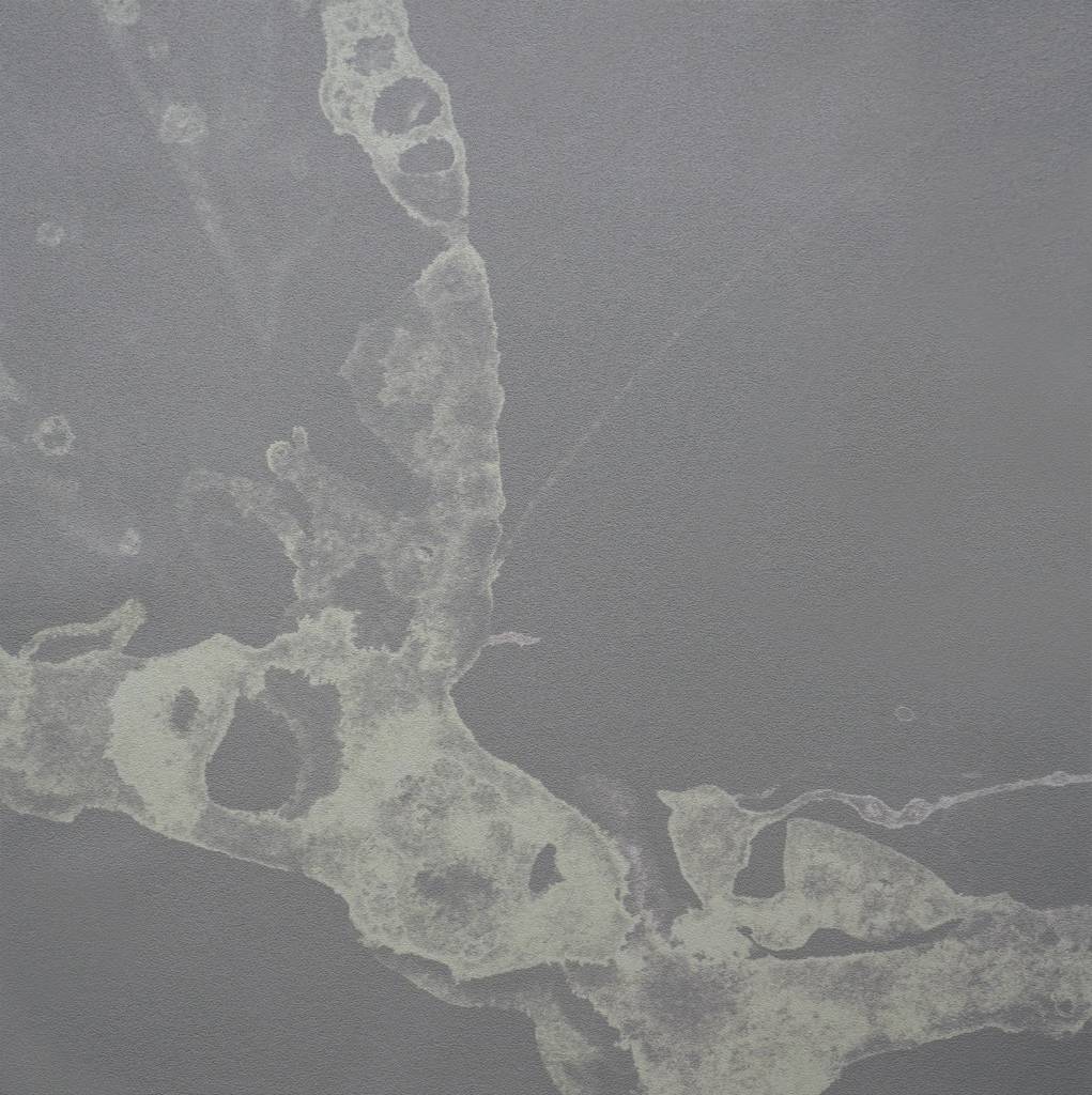 Calico Calico Wallpaper, Microcosmos