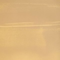 Calico Calico Wallpaper - Cirrus