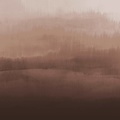 Calico Calico Wallpaper - Fragments