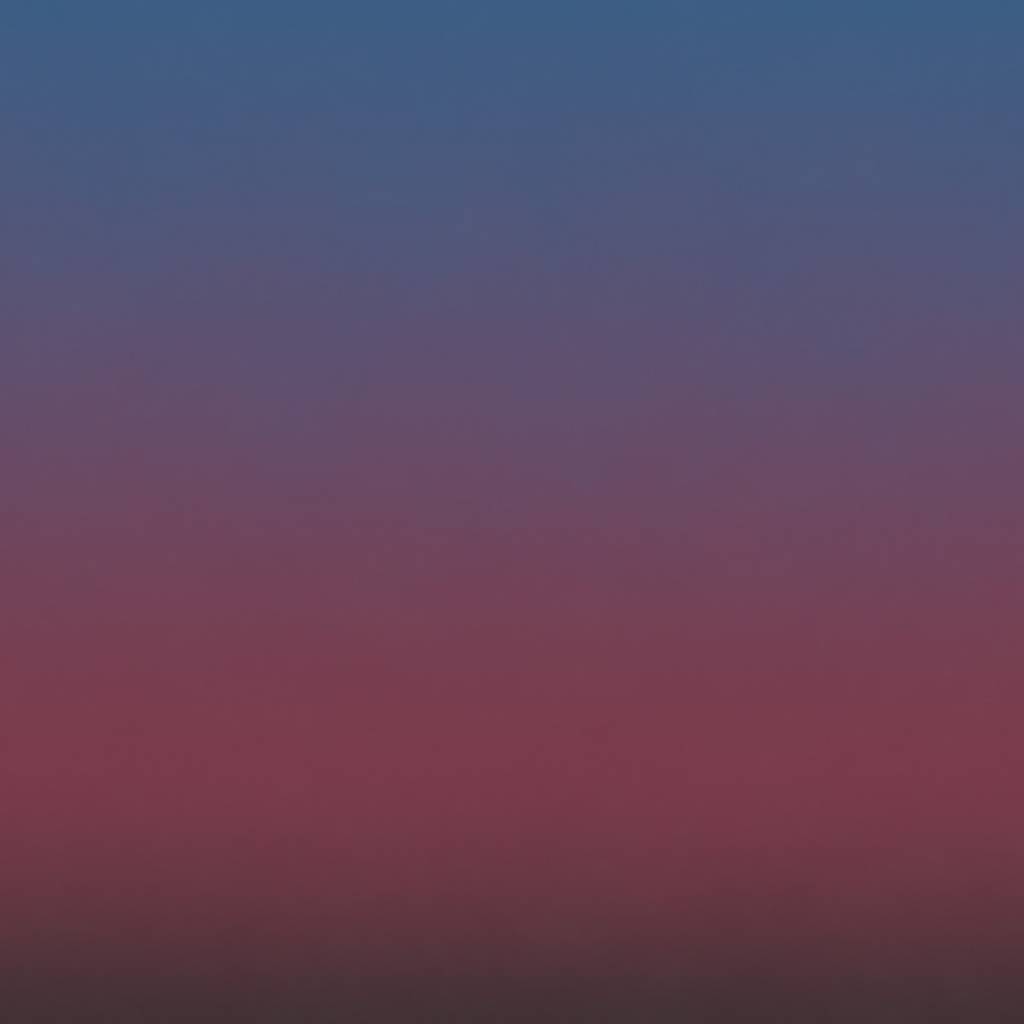 Calico Calico Wallpaper - Aurora