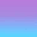 Calico Calico Wallpaper - Aurora 2