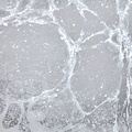 Calico Calico Wallpaper - Calico Collection