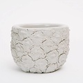 Chen & Kai Stone Fruit Planter