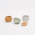 Chen & Kai Stone Fruit Planter