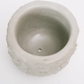 Chen & Kai Stone Fruit Planter