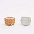 Chen & Kai Stone Fruit Planter