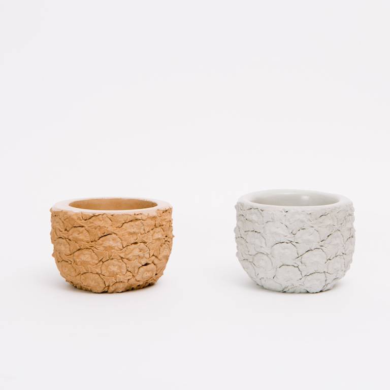 Chen & Kai Stone Fruit Planter